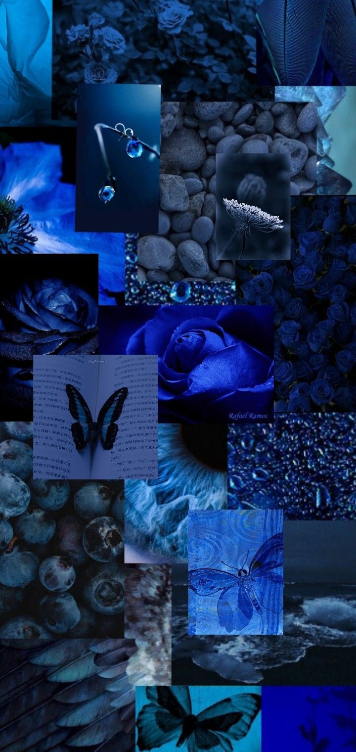 Blue Butterflies